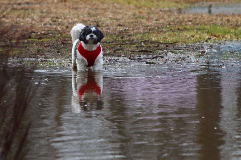 Homes flooded in south Lake County